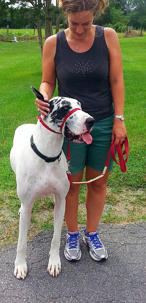 Dog trainer Ashleigh conducting a training session with a great dane in a yard.