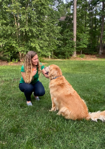 Dog trainer Ashleigh conducting a training session with a golden retriever in a yard.